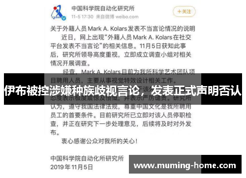 伊布被控涉嫌种族歧视言论，发表正式声明否认